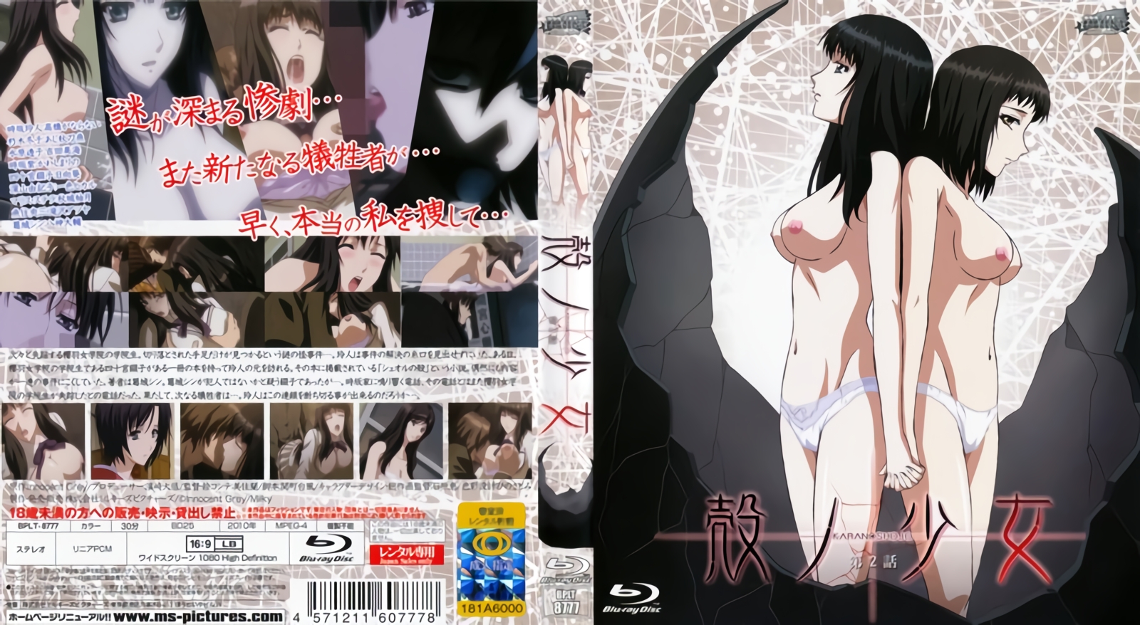 聖誕小麋鹿來襲，準備好了嗎，拍了太多，所以提前發