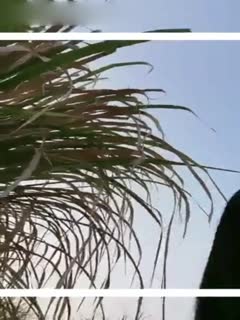 开好麻将房等我的离异好大姐 第一部