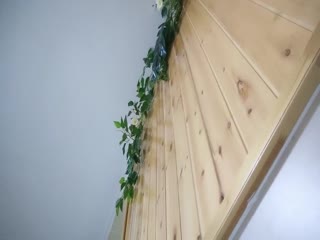 调教马鞍山安工大的一条大学母狗2