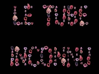 MFYD074 宫城理惠是宫西光家里的女同性恋发布文件，她崇拜的前任就像姐姐一样！