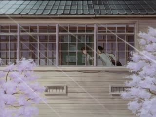 XVSR852 平淡的戴眼镜妹子拥有巨乳，无法停止的禁断同居性生活 柏木小夏