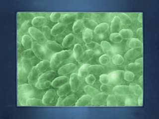 JUFE569 [自提征用]廉价日元NTR 我的妻子被一个大鸡巴的黑人游客带走的故事 美园和花