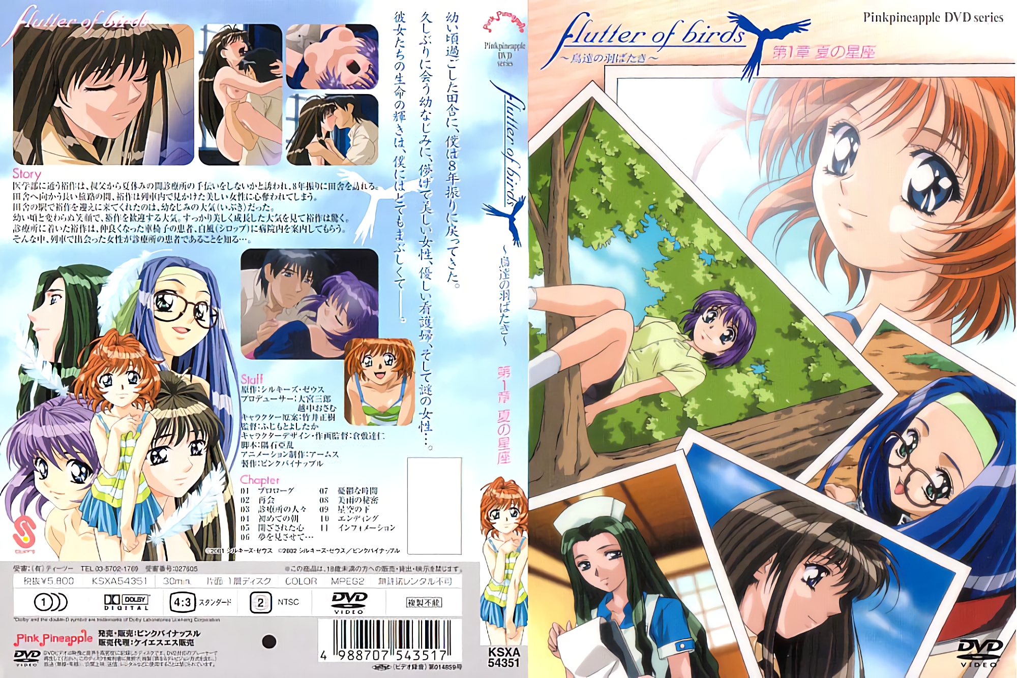 BONY167 一群残忍的强奸犯以独居的美女为目标，强行进入她们的家中进行中出性爱。性治疗创伤版。