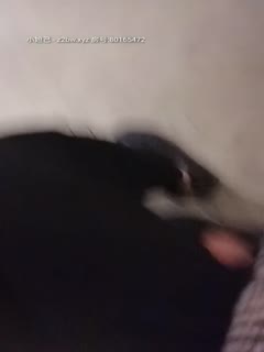 有性高潮痙攣的敏感女孩的美妙性體驗 快要爽死