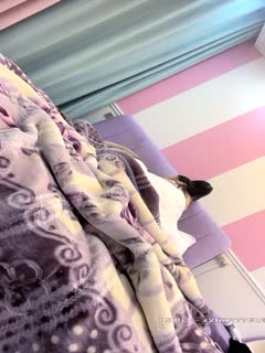 07年女大】清纯校花 又被干了 道具爆菊 啪啪 狂射一身2