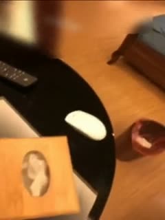 骚M偷偷打飞机被主人发现